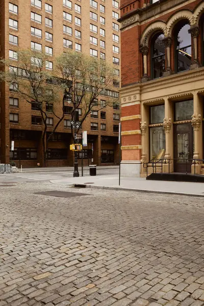 Червоні цегляні бутони і дерева з осіннім листям на перехресті в Нью-Йорку, автономна сцена — стокове фото