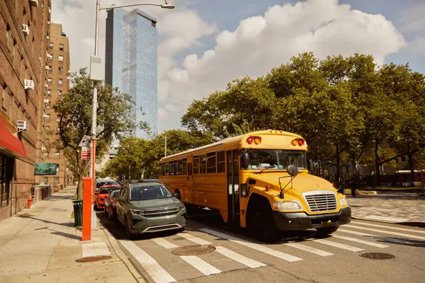 Coches y autobús escolar amarillo en el paso de peatones cerca de árboles con follaje de otoño en la ciudad de Nueva York, escena de otoño - foto de stock