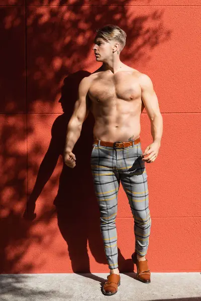 A shirtless, muscular blonde man with a defined physique poses against a red wall while wearing plaid pants and brown shoes. — Stock Photo