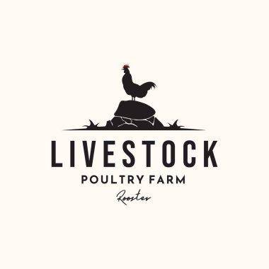 çiftlik hayvanı horozu vintage logo vektörü minimalist illüstrasyon tasarımı, horoz taze kümes hayvanları çiftliği logosu tasarımı