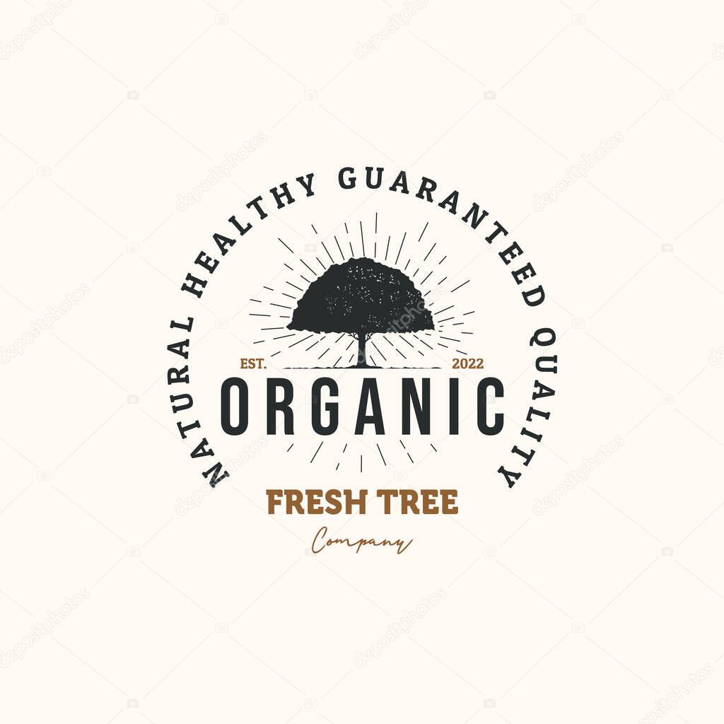 Oak tree vintage logo vector minimalist illustration design, oaktree organic