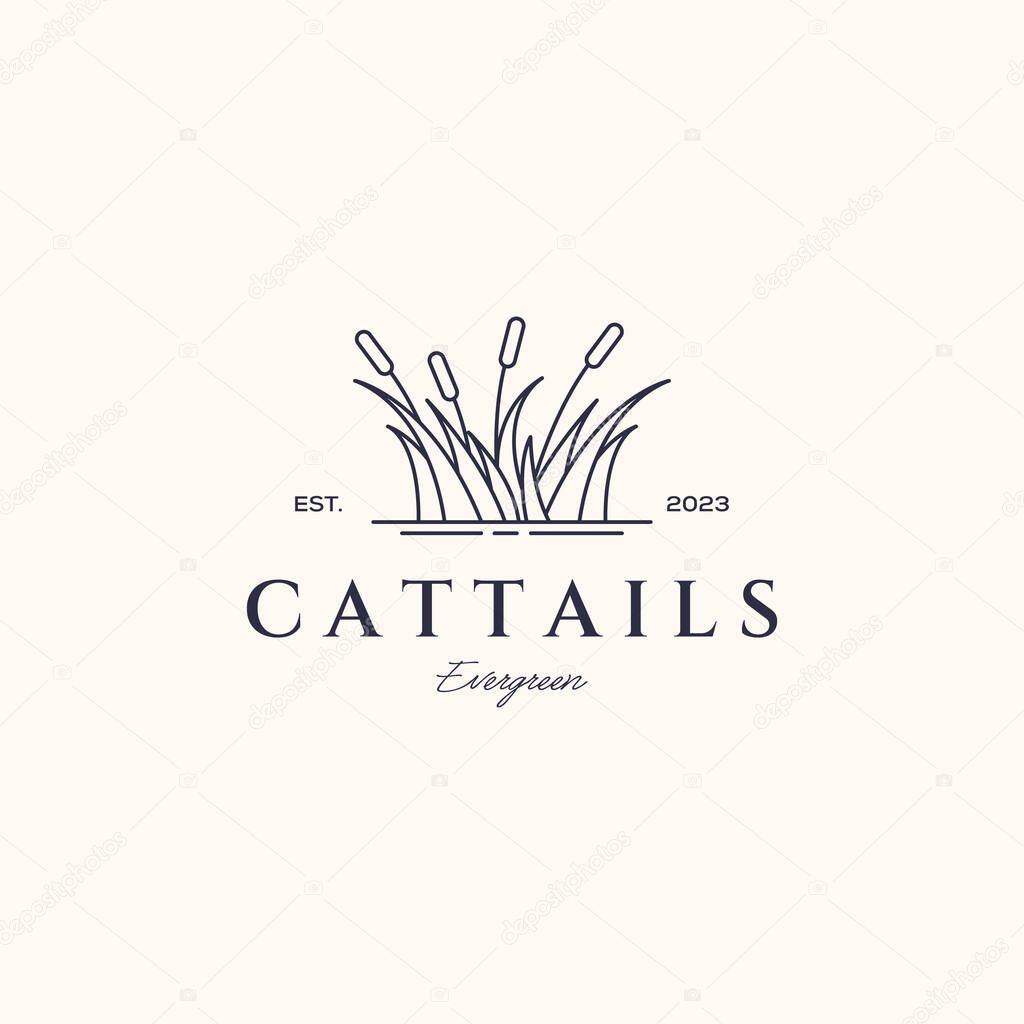 Natural cattail line art logo vector minimalist illustration design, simple cattails botanical logo design