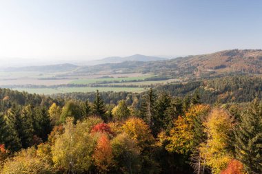 Sonbahar renklerinde bir orman ve tepeler için güzel bir manzara. Çek Cumhuriyeti