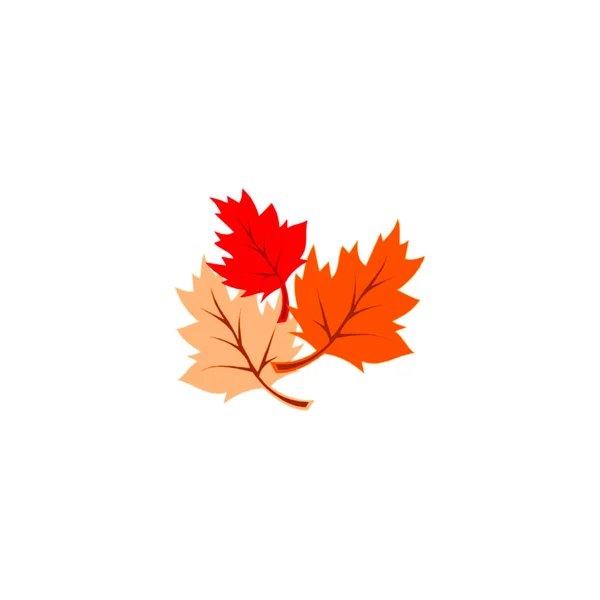Autumn Leaves White Background Vector Illustration - Stok Vektor