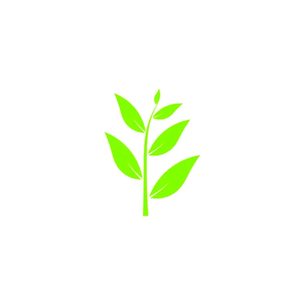 生态绿色图标向量隔离在白色背景上为您的网页和移动应用程序设计 植物标志概念 — 图库矢量图片
