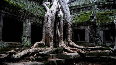 Kamboçya 'daki Angkor Wat Tapınağı