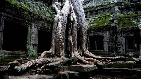 カンボジアのアンコールワット寺院は — ストック写真