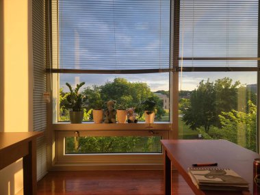 Modern bir otel odası.