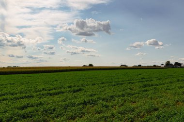 Green field and blue sky Lancaster USA