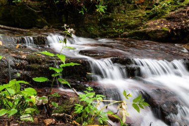 Kuzey Carolina Soco Falls 'da hareket bulanık su