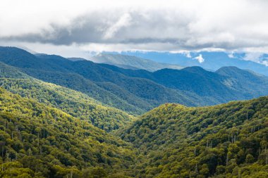 Great Smoky Mountains National Park USA 