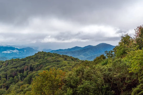 Green colors in Great Smoky Mountains National Park along the North Carolina-Tennessee border