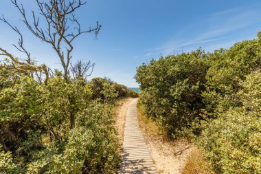 Pointe du Payre plajı manzarası, Jard sur Mer, Fransa, Vendee, Fransa