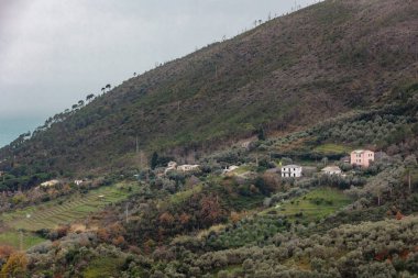 Cinque Terre bölgesinin tipik renkli evleri yağmurlu bir kış gününde Levento, Montale, Liguria, İtalya yakınlarındaki dağa tutunur.