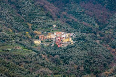 Cinque Terre bölgesinin tipik renkli evleri yağmurlu bir kış gününde Levento, Montale, Liguria, İtalya yakınlarındaki dağa tutunur.