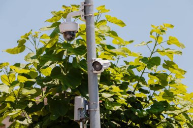 Şehirdeki güvenlik kamerası görüntüleri İspanya 'da gizli bir direkte ağaçların arasına gizlenmiş.