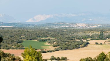 View of the province of Huesca, Spain with the Pyrenees mountains in the background clipart