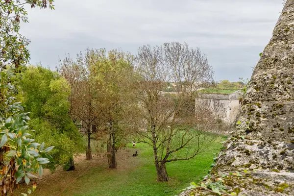 Blaye, Nouvelle-Aquitaine, Fransa - 31 Ekim 2022: Blaye Kalesi 'nin mimari detayları, kötü bir sonbahar gününde kasabaya yakın.