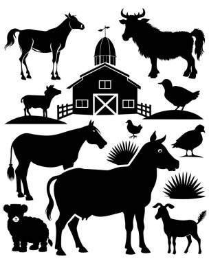 Bir grup çiftlik hayvanı.