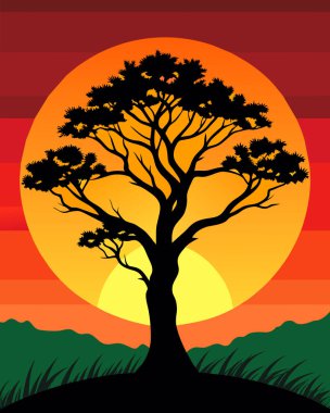 Gün batımı arkaplanlı ağaç ve güneş silueti