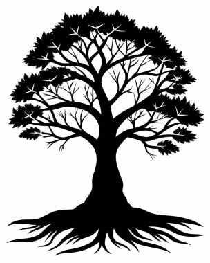 Köklü ağaç, ağaç silueti, vektör illüstrasyonu