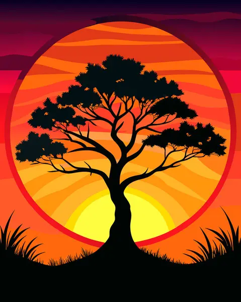 Ormanda gün batımı.