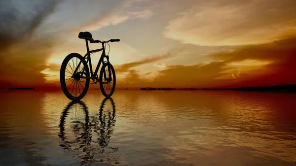 Bir bisiklet silueti ve gün batımında sahilin yansıması (3D görüntüleme)