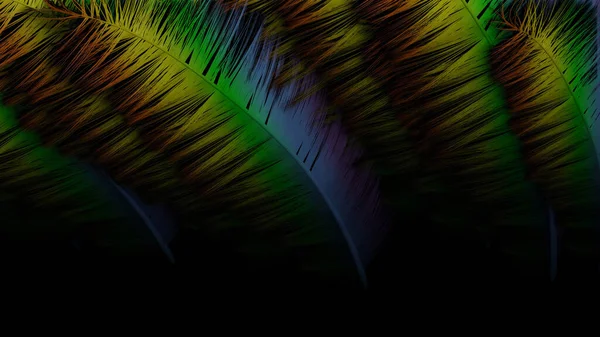Bunte Feder Regenbogenfarbe Des Papageienflügels Rendering — Stockfoto