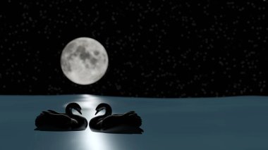 Gece gökyüzünde dolunay olan bir gölde bir kuğu kuponu yüzüyor.)
