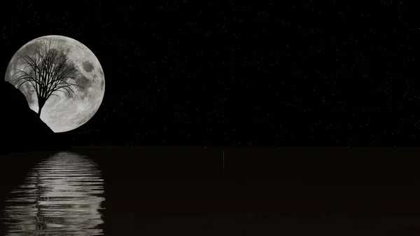 실루엣 나무와 뒤쪽에 보름달이 렌더링 — 스톡 사진