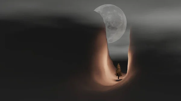 Fog over a pine tree in a defile path with full moon in background (3D Rendering)