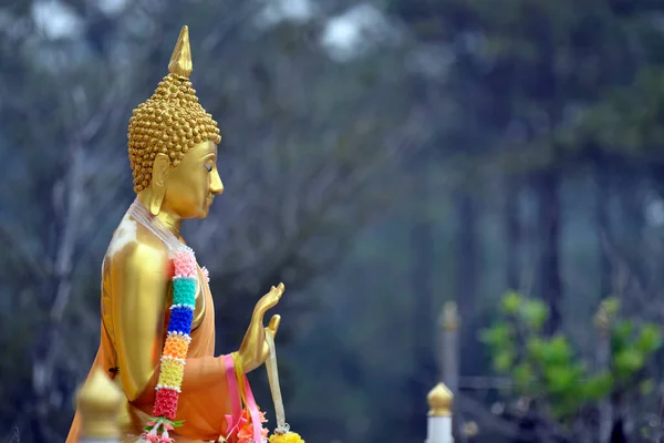 Arka planda bulanık orman olan Buda 'nın merhameti