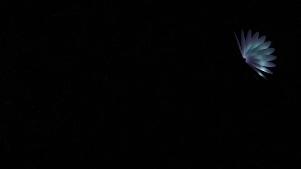 Yıldızgemisi Arka Planına Sahip Bir Yıldızgemisinin Güzel Renkli Kanatları Görüntüleme — Stok fotoğraf