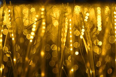 Arkaplanda bokeh olan pirinç sapı boyunca sarı LED ışık çizgisi