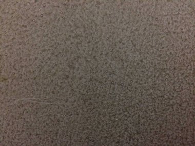 cracked and dirty cement wall background. nature pattern back ground with copy space