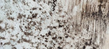 Pas dokusu. Çamur boyama arka planı. Doğa kavramı