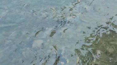 Su küçük bir hendekte akar.