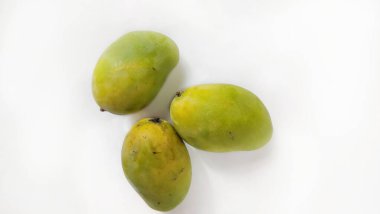 Beyaz arka planda üç mango meyvesi (Mangifera Indica) izole edilir..