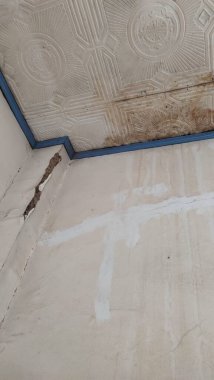 Kirli duvarlar, sarı lekeler ve çatlaklar, soyulmuş boyalar. Küf mantarı yüzünden azalan tavan.