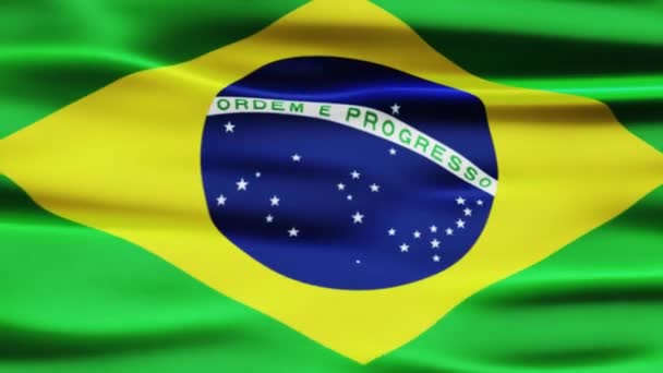 ブラジル国旗 ループアニメーション — ストック動画