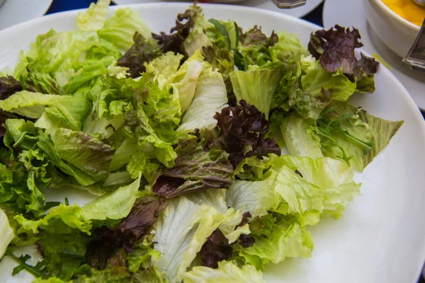 Food Photography Art Shot Van Salad Photo Selectieve Focus Met — Stockfoto