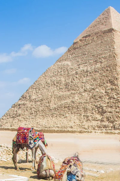 Fotografía Arqueológica Grandes Pirámides Giza Pirámide Chephren Foto Enfoque Selectivo —  Fotos de Stock