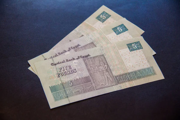 Egyptian Money Livre Égyptienne Prise Vue Sélective Avec Une Faible — Photo