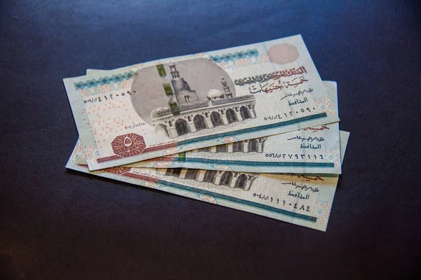 Dinero Egipcio Libra Egipcia Tiro Enfoque Selectivo Con Poca Profundidad —  Fotos de Stock