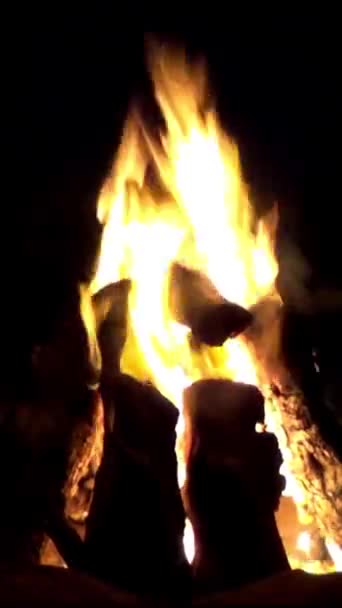 Full 1080 30Fps Vertikale Videoopptak Camping Glødende Ild Natt Piknik – stockvideo