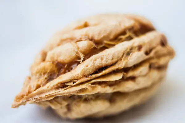 stock image Peach pit macro photography isolated on white background, close up shot, photo is selective focus with shaloow depth of field, taken at Cairo Egypt