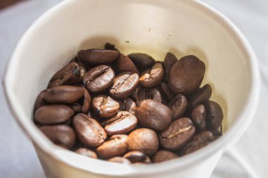 Coffee beans artistic shot in a white paper cup, brown bean, arabica and robusta, caf, caffeine, white background, freshness, shot is selective focus with shallow depth of field, taken at Cairo Egypt