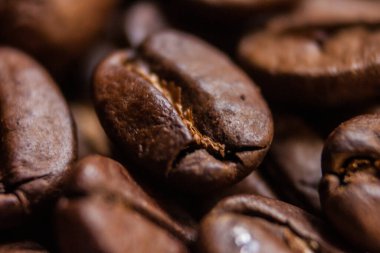 Makro fotoğrafçılık Kahve çekirdekleri sanatsal çekim, kahverengi fasulye, Arabika ve Robusta, Kafe, kafein, beyaz arka plan, tazelik, çekim, sığ alan derinliği ile seçici odak Kahire Mısır 'da çekilmiş