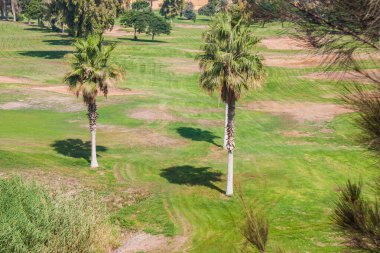 Golf kulübünde golf sahası, şampiyonluk müsabakası, genç, yetişkin, erkek ve kadın boş bir aktivitede, sığ alan derinliğinde seçici bir odak, Kahire Mısır 'da 24 Ağustos 2024' te çekildi.