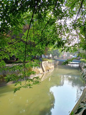 Şehir parkının güzel manzarası